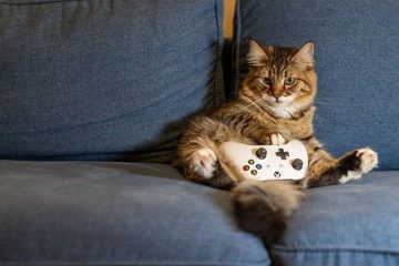 gaming controller 3