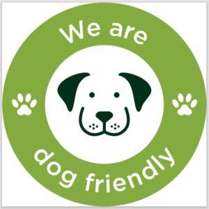 Top Recommendations for Dog-Friendly Games